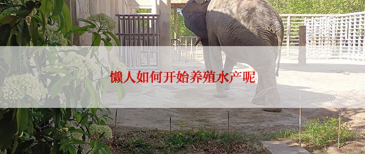 懒人如何开始养殖水产呢