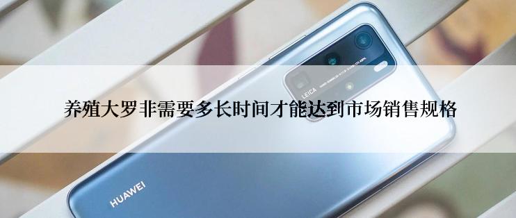  养殖大罗非需要多长时间才能达到市场销售规格