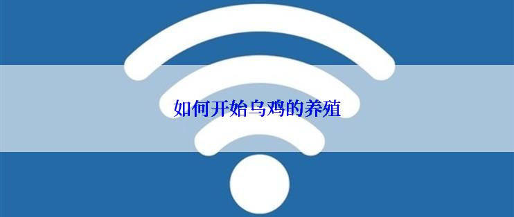 如何开始乌鸡的养殖