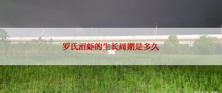 罗氏沼虾的生长周期是多久