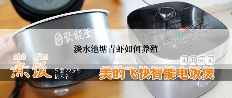 淡水池塘青虾如何养殖