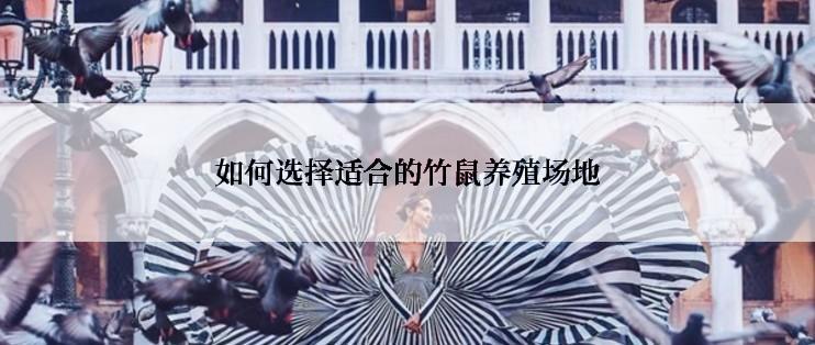 如何选择适合的竹鼠养殖场地