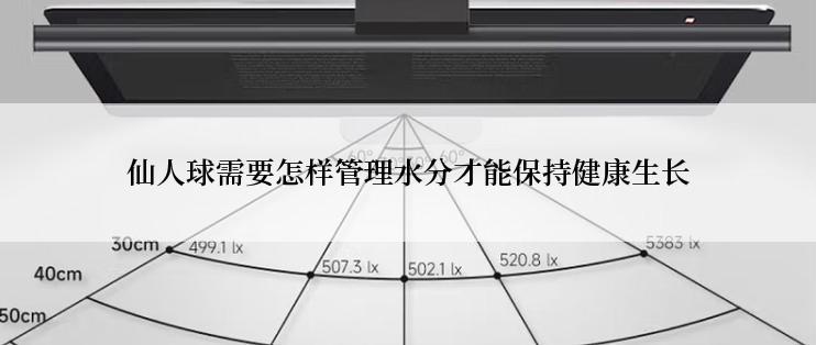 仙人球需要怎样管理水分才能保持健康生长