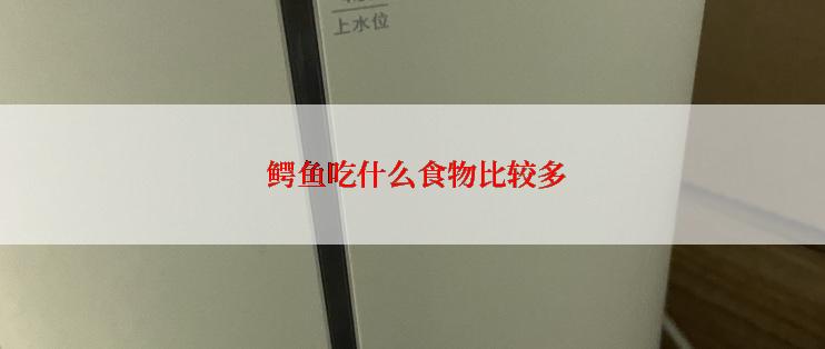  鳄鱼吃什么食物比较多