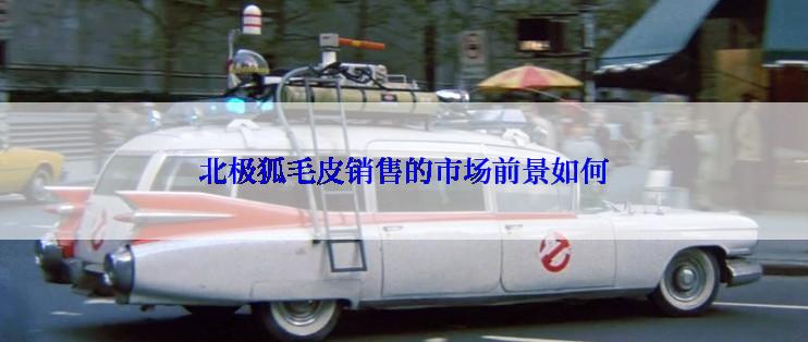 北极狐毛皮销售的市场前景如何