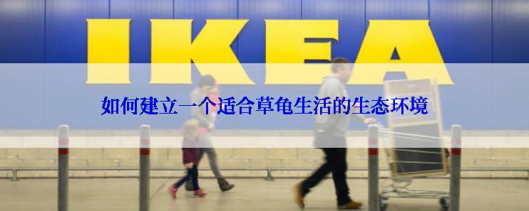 如何建立一个适合草龟生活的生态环境