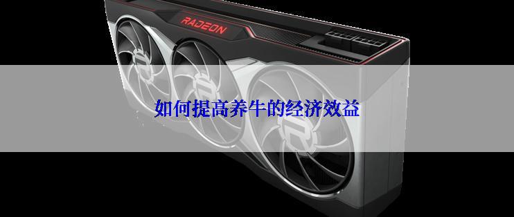 如何提高养牛的经济效益