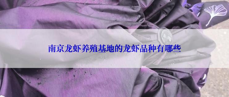 南京龙虾养殖基地的龙虾品种有哪些