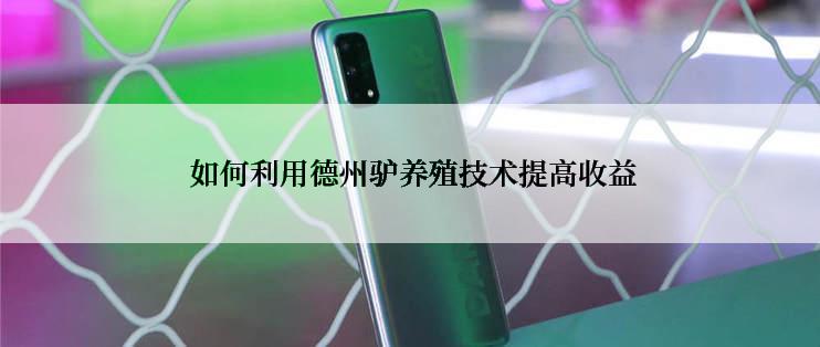  如何利用德州驴养殖技术提高收益