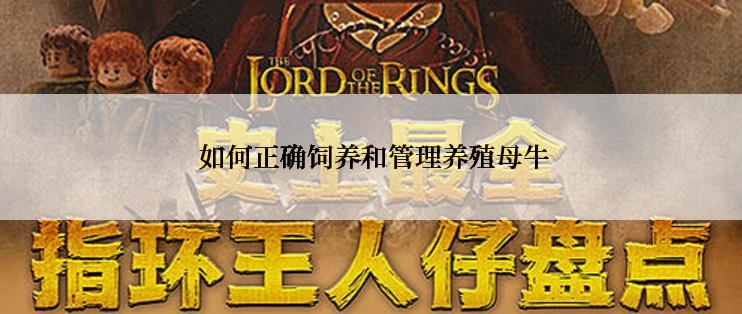  如何正确饲养和管理养殖母牛