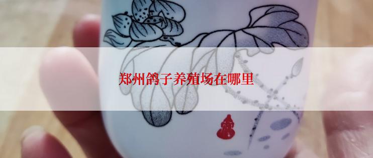 郑州鸽子养殖场在哪里