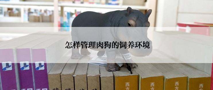  怎样管理肉狗的饲养环境