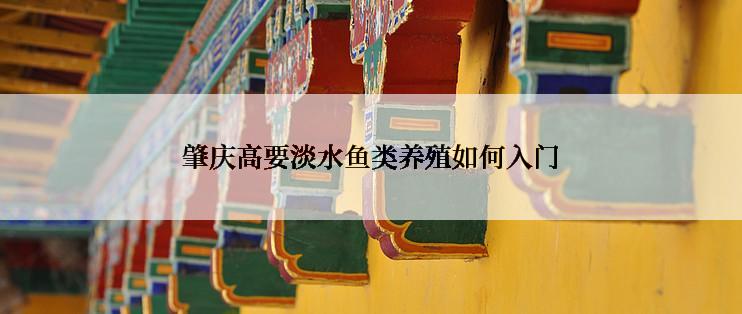 肇庆高要淡水鱼类养殖如何入门