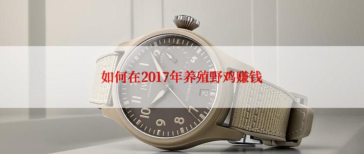 如何在2017年养殖野鸡赚钱