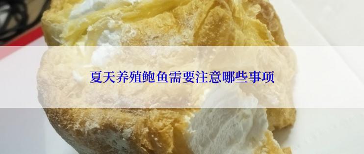 夏天养殖鲍鱼需要注意哪些事项