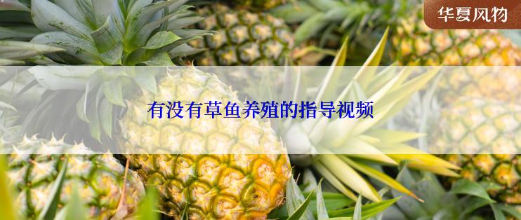 有没有草鱼养殖的指导视频