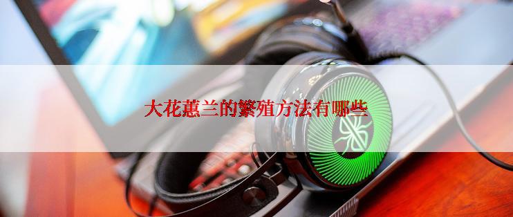 大花蕙兰的繁殖方法有哪些