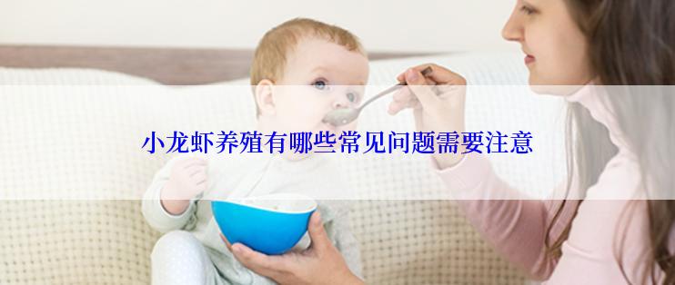 小龙虾养殖有哪些常见问题需要注意