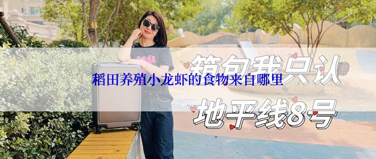 稻田养殖小龙虾的食物来自哪里