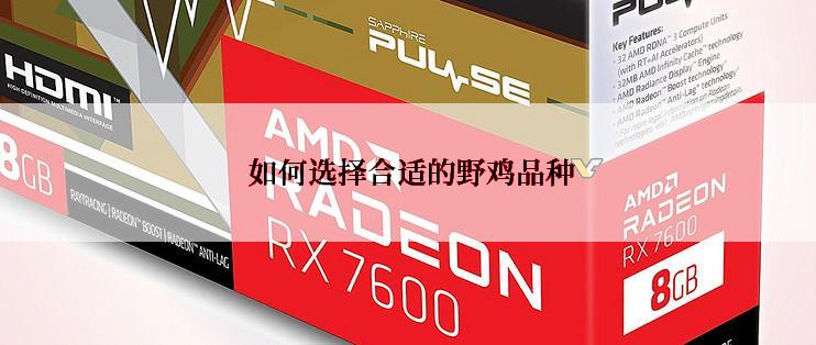  如何选择合适的野鸡品种