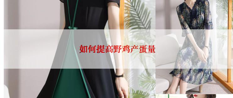  如何提高野鸡产蛋量
