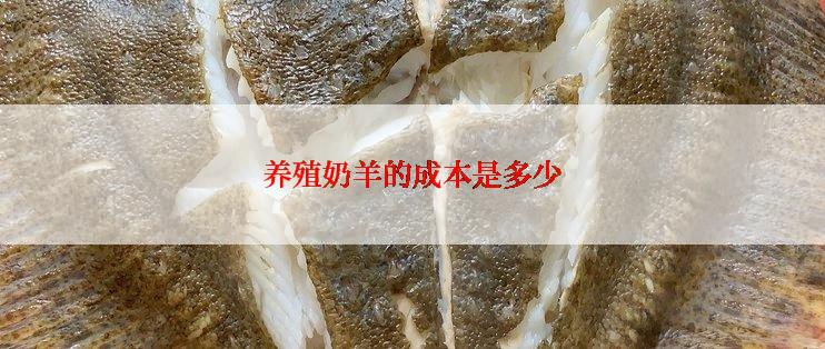 养殖奶羊的成本是多少