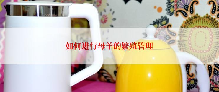 如何进行母羊的繁殖管理