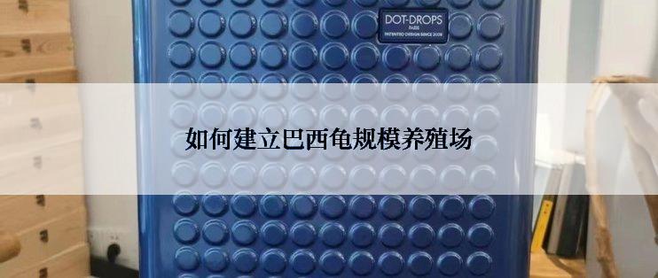 如何建立巴西龟规模养殖场