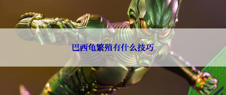 巴西龟繁殖有什么技巧