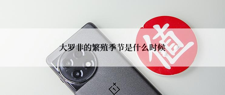 大罗非的繁殖季节是什么时候