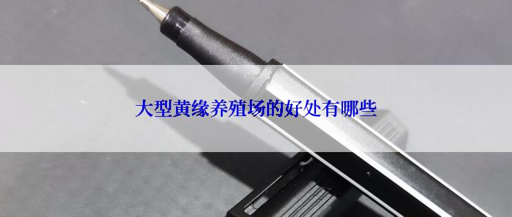 大型黄缘养殖场的好处有哪些