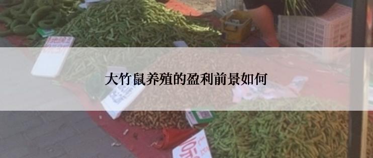 大竹鼠养殖的盈利前景如何