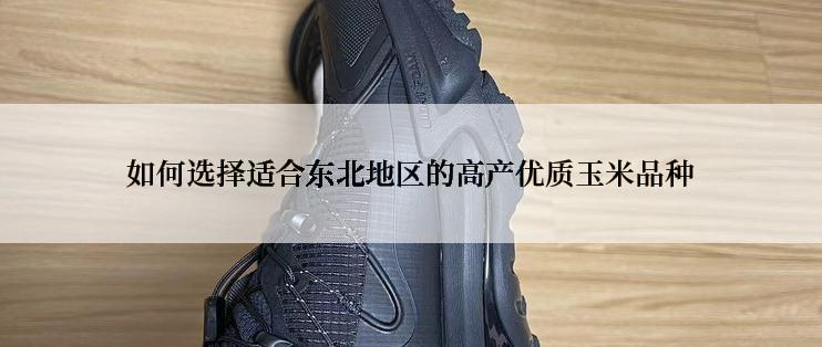 如何选择适合东北地区的高产优质玉米品种