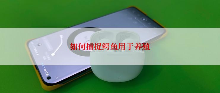 如何捕捉鳄鱼用于养殖