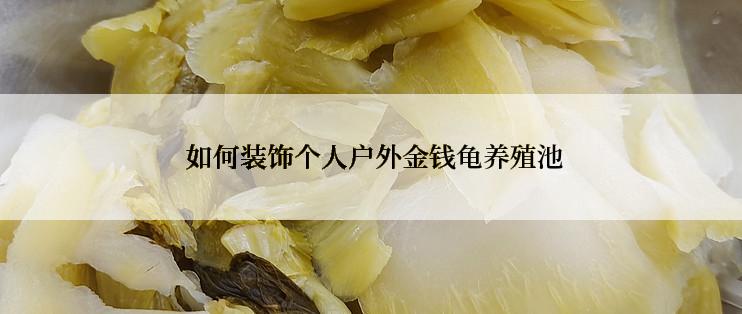  如何装饰个人户外金钱龟养殖池