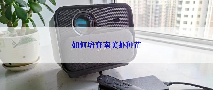 如何培育南美虾种苗