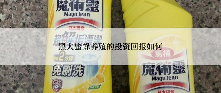 黑大蜜蜂养殖的投资回报如何