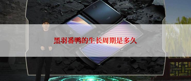 黑羽番鸭的生长周期是多久