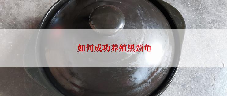  如何成功养殖黑颈龟