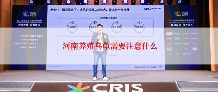  河南养殖乌龟需要注意什么