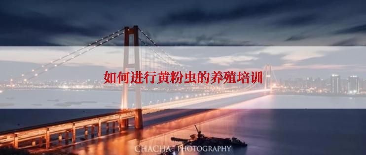 如何进行黄粉虫的养殖培训