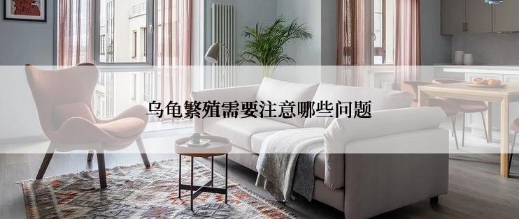 乌龟繁殖需要注意哪些问题