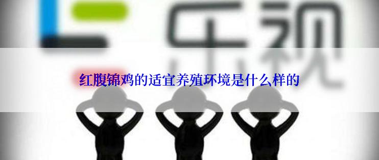 红腹锦鸡的适宜养殖环境是什么样的