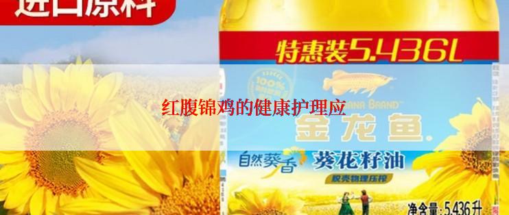 红腹锦鸡的健康护理应