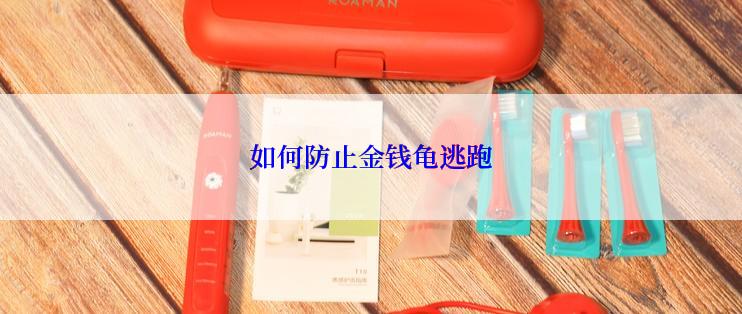 如何防止金钱龟逃跑