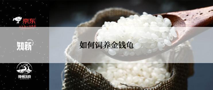 如何饲养金钱龟