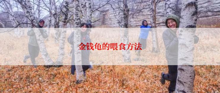 金钱龟的喂食方法