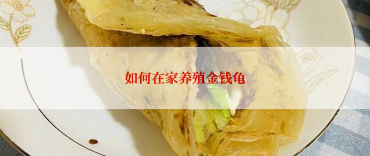 如何在家养殖金钱龟