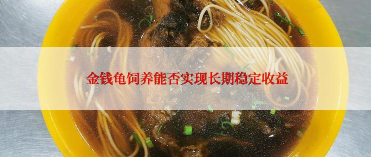 金钱龟饲养能否实现长期稳定收益