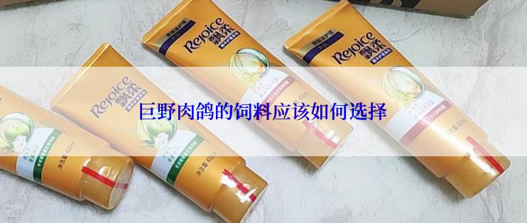 巨野肉鸽的饲料应该如何选择